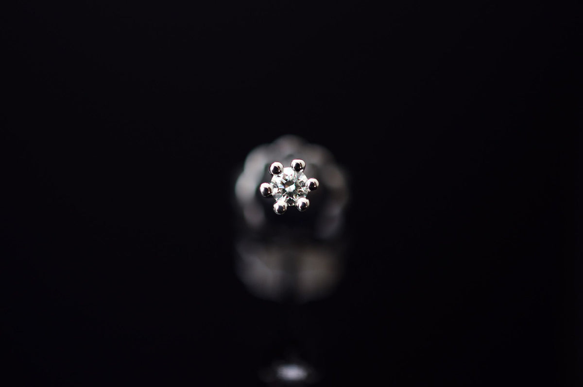 Ohrstecker 585er Weißgold - 0.08ct.